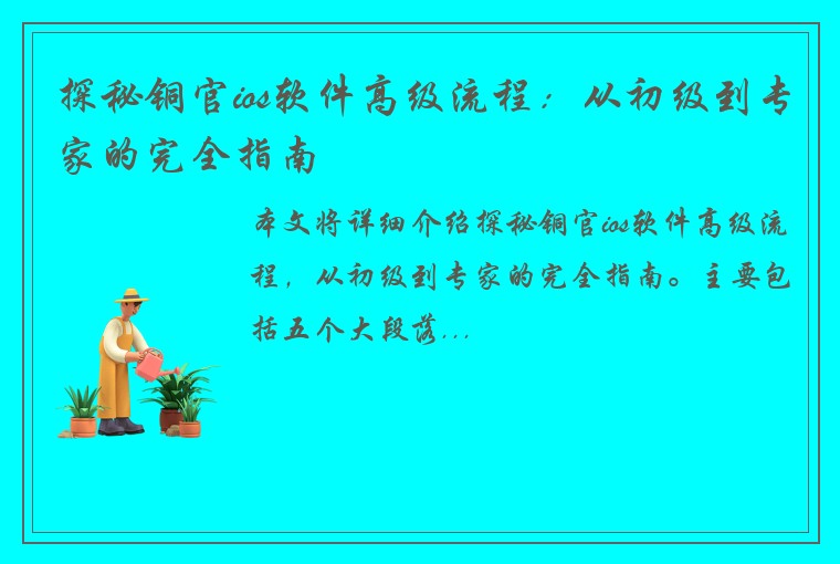 探秘铜官ios软件高级流程：从初级到专家的完全指南