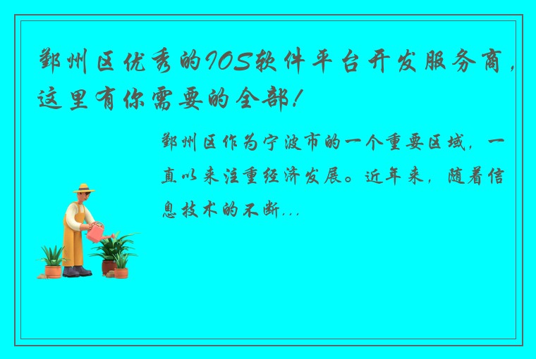 鄞州区优秀的IOS软件平台开发服务商，这里有你需要的全部！
