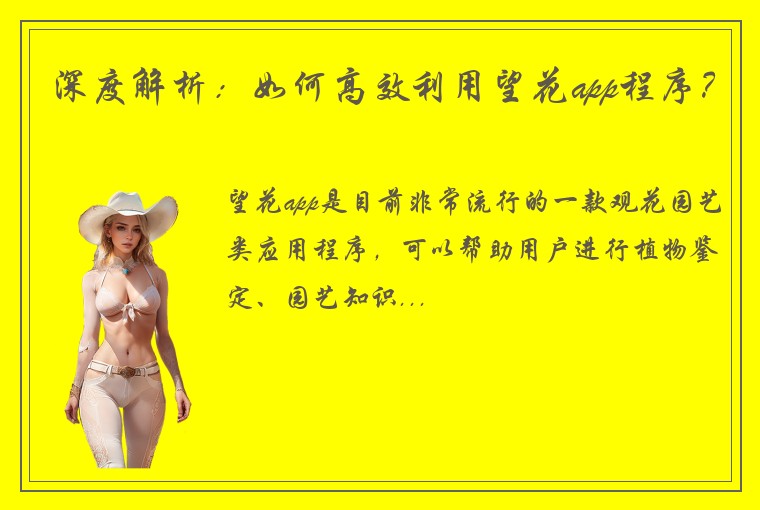 深度解析：如何高效利用望花app程序？