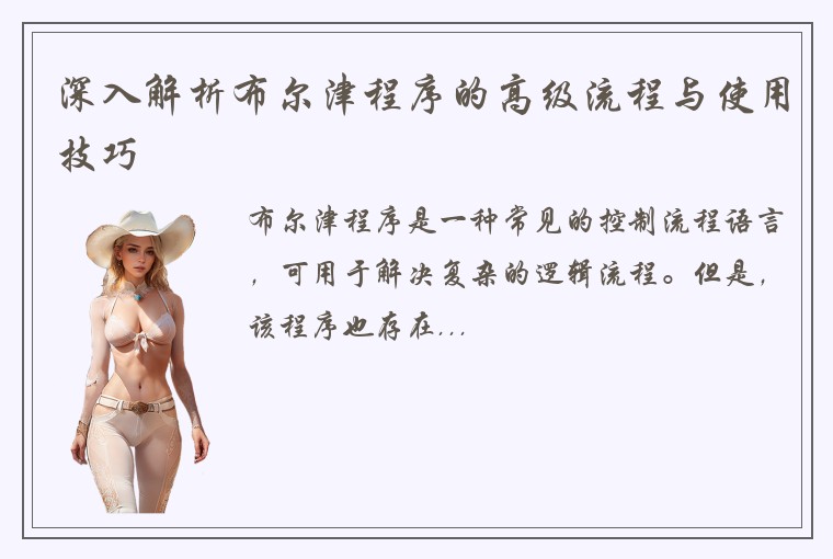 深入解析布尔津程序的高级流程与使用技巧
