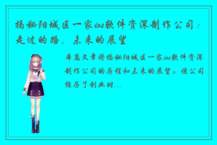 揭秘阳城区一家ios软件资深制作公司：走过的路，未来的展望