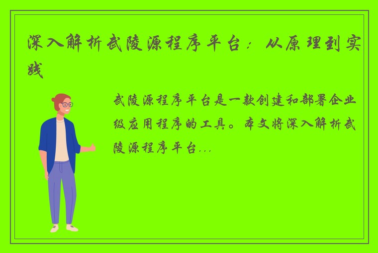深入解析武陵源程序平台：从原理到实践