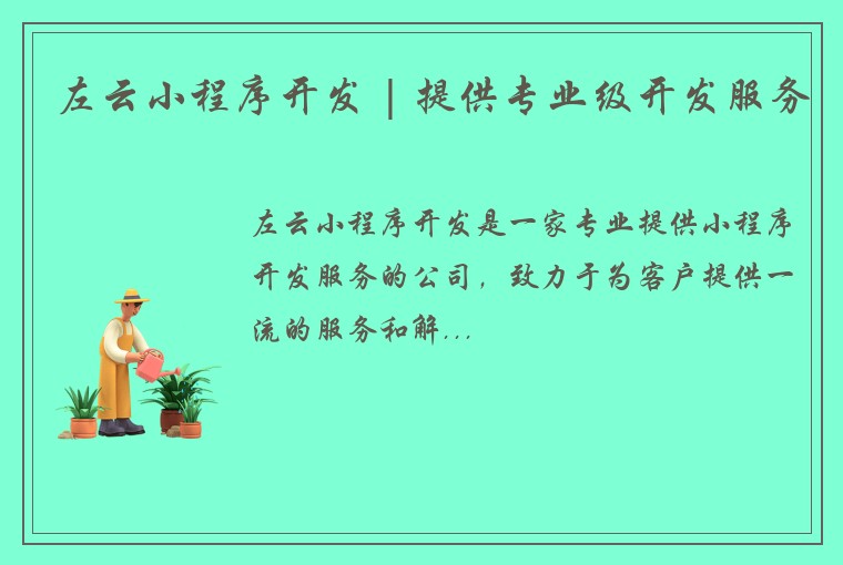 左云小程序开发 | 提供专业级开发服务