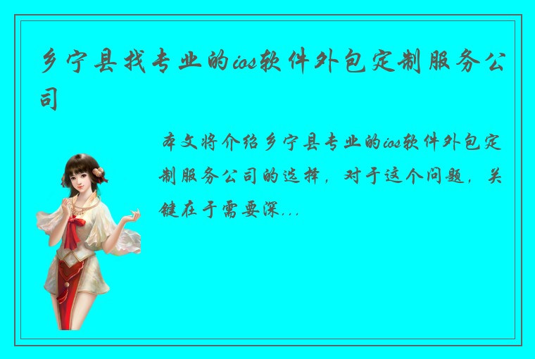 乡宁县找专业的ios软件外包定制服务公司